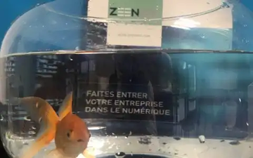 Ne tournez plus en rond